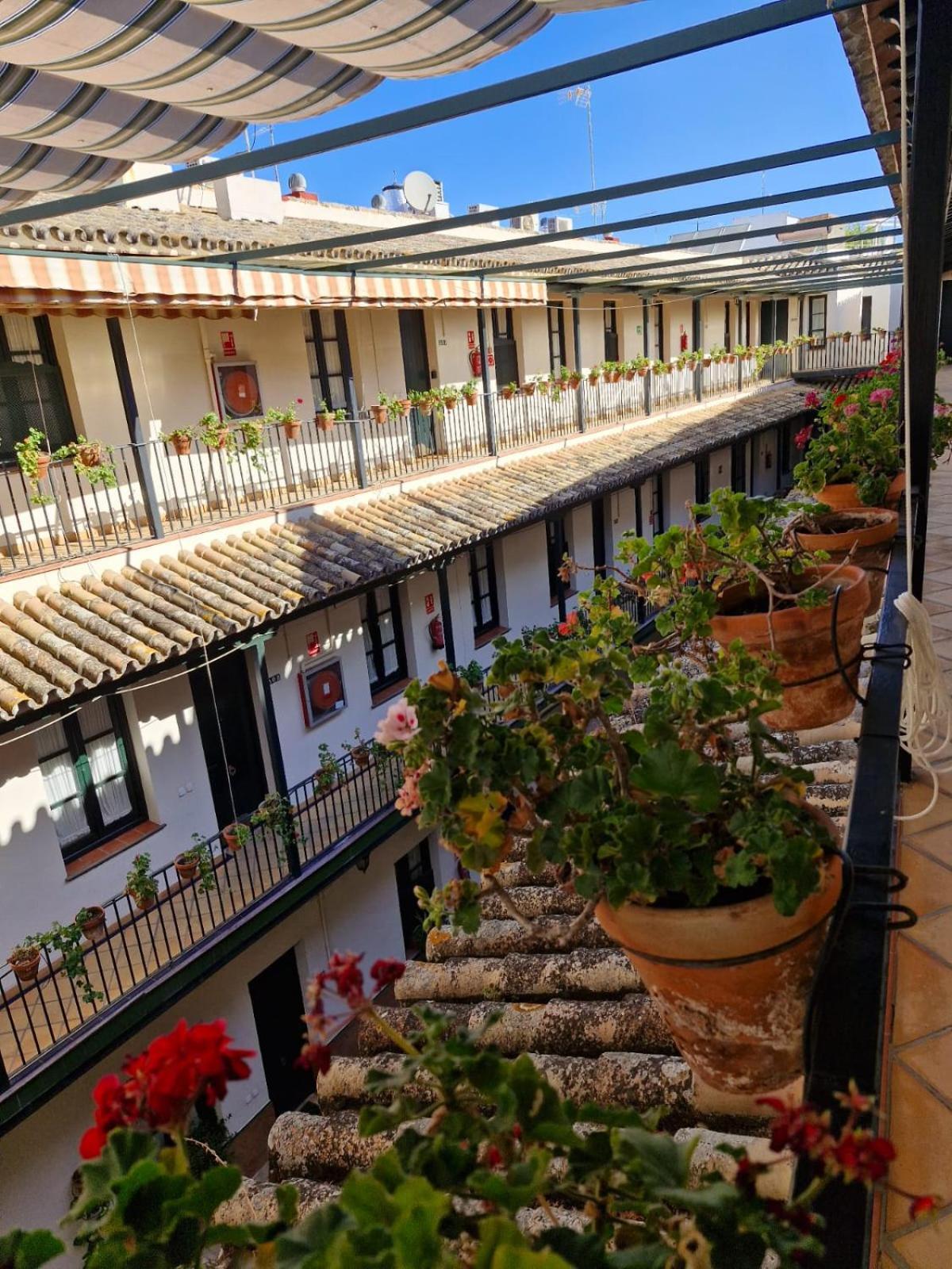 Patio Cartuja Lejlighed Sevilla Eksteriør billede