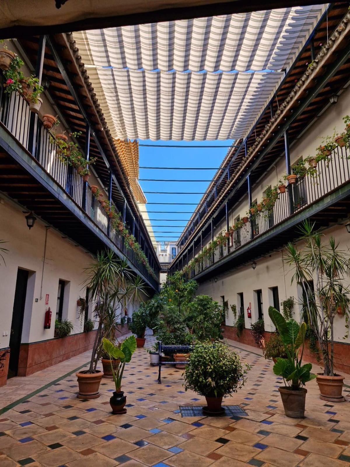 Patio Cartuja Lejlighed Sevilla Eksteriør billede