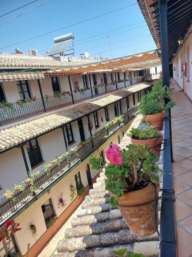 Patio Cartuja Lejlighed Sevilla Eksteriør billede